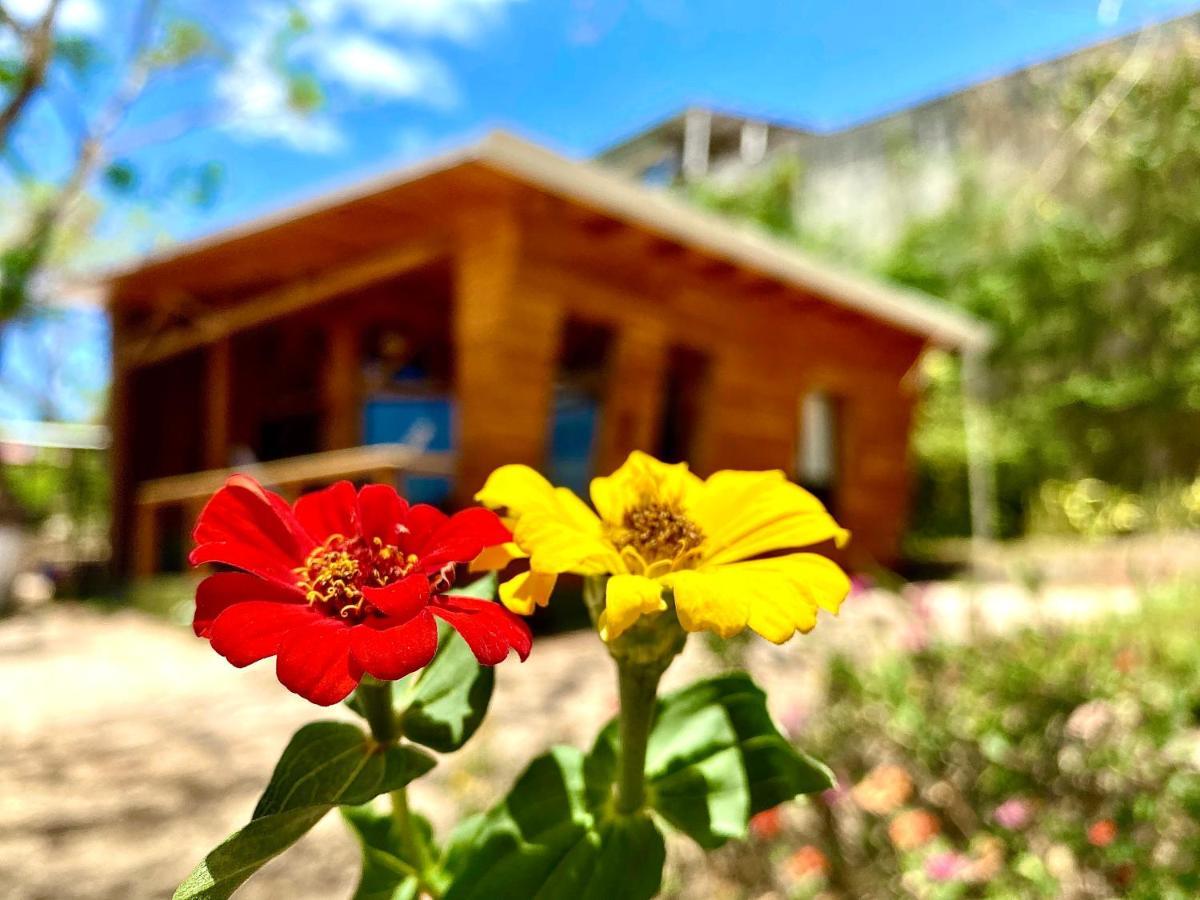 Villa Hoja Azul Hojancha Exterior foto